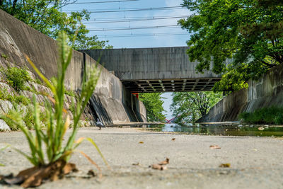 Surface level of road by bridge in city against sky