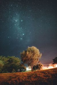 Trees on field against sky at night