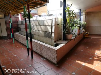 Potted plant on tiled floor in building