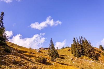 Scenic view of trees against blue sky