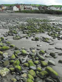 Rocks in sea