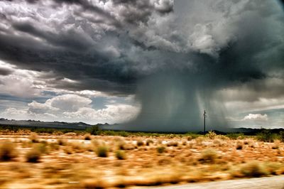 Storm clouds over grass