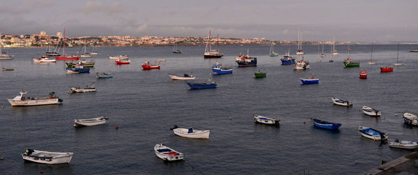 High angle view of sailboats moored in sea