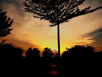 Silhouette trees against sky during sunset