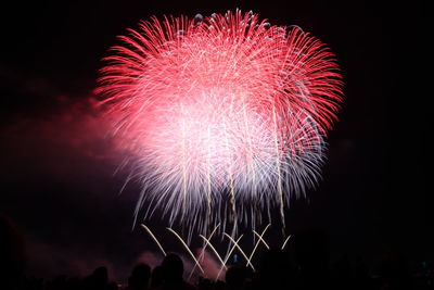 Low angle view of firework display at night