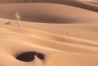 High angle view of sand dune in desert