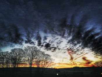 Low angle view of silhouette trees against sky during sunset