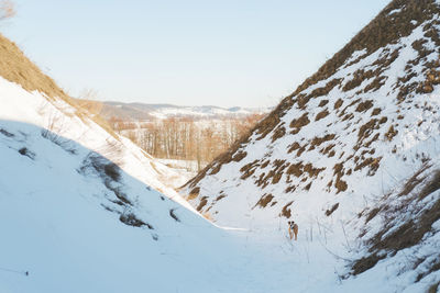 Beautiful winter landscape with low snowy hills and a dog on a sunny day. 