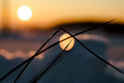 Close-up of spider web against sky during sunset