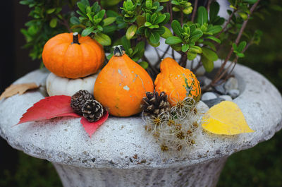 Background of autumn harvest of small orange different pumpkins close up. top view. holiday