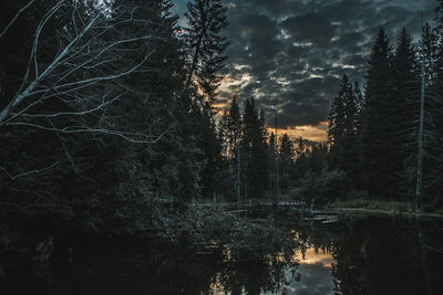 Reflection of tree in lake against sky