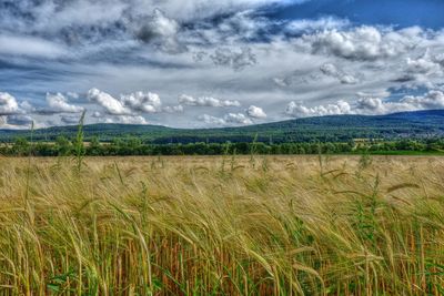 Scenic view of landscape against cloudy sky