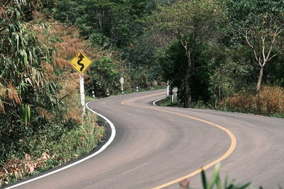 Empty road along trees and plants