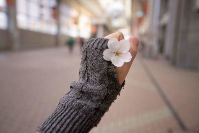 Close-up of hand holding flower