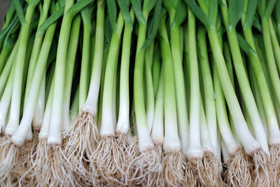 Full frame shot of vegetables