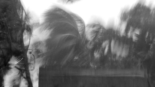 Portrait of woman standing by wet window