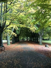 Road amidst trees in park during autumn