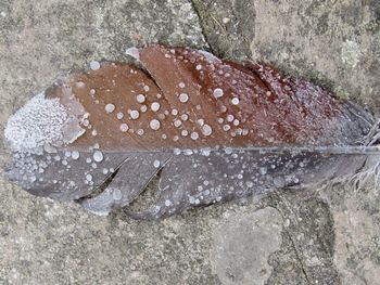 Close-up of water