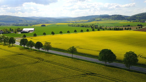 Scenic view of landscape against sky