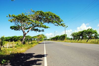 Empty road by trees against sky in the caribbean country