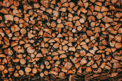 Full frame shot of tree trunk in forest