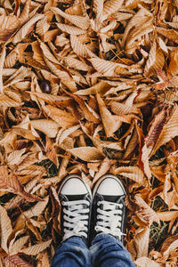 Low section of person standing on autumn leaves