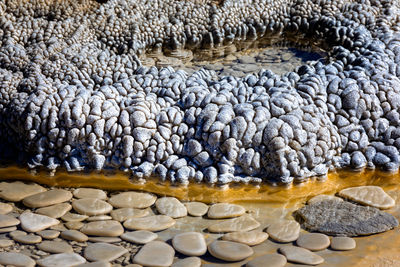 Close-up of stones against white background