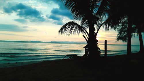 Silhouette palm tree by sea against sky during sunset