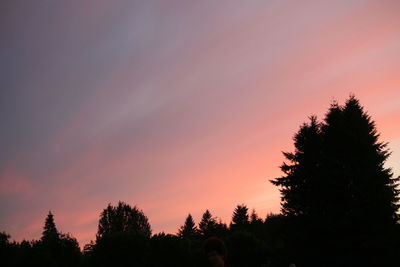 Silhouette trees against sky during sunset