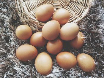 High angle view of eggs in container