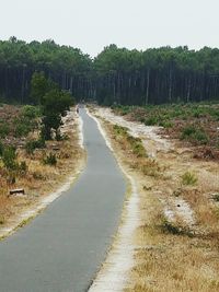 Dirt road passing through forest