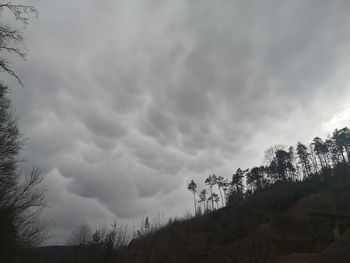 Low angle view of trees against cloudy sky