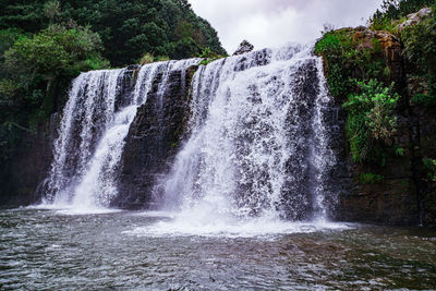 Scenic view of waterfall in forest