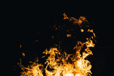 Close-up of bonfire at night