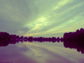 Reflection of trees in calm lake