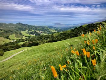 Scenic view of grassy field against cloudy sky