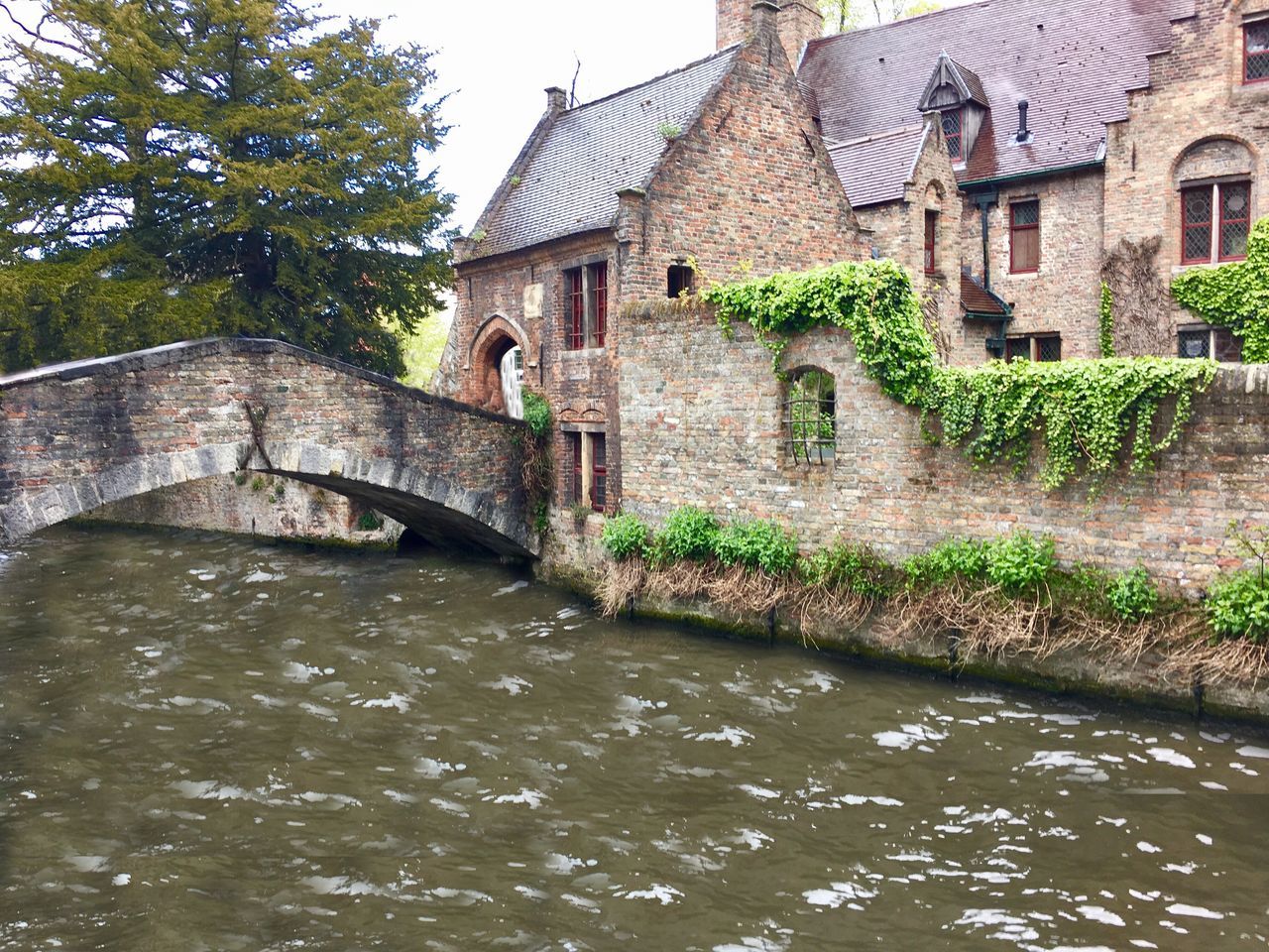 architecture, built structure, water, bridge - man made structure, building exterior, river, tree, waterfront, day, no people, outdoors, watermill, nature, sky