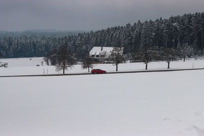 Snow covered land and trees on field during winter