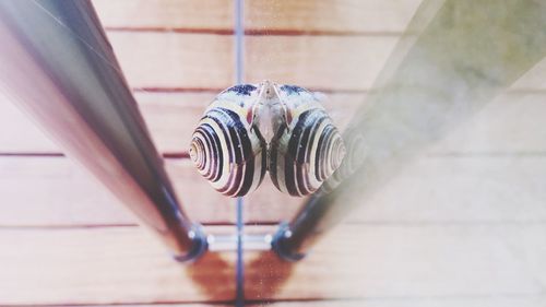 High angle view of snail on mirror