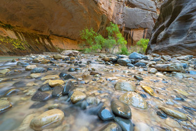 Surface level of stones in river