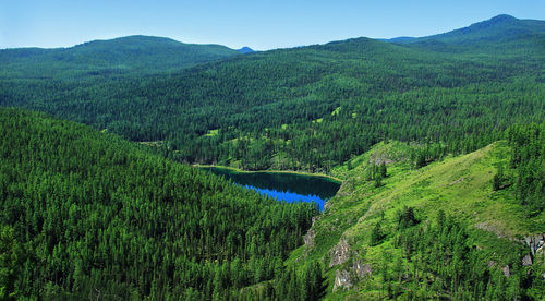 Top view of the lake among the mountains with a dense spruce forest in summer, blue sky