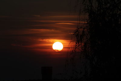 Silhouette tree against orange sky