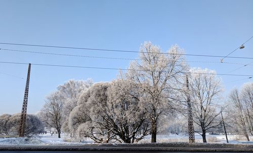 Bare trees on snow covered field against sky