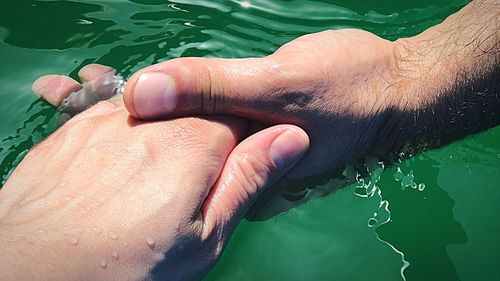 Cropped image of hand against sea