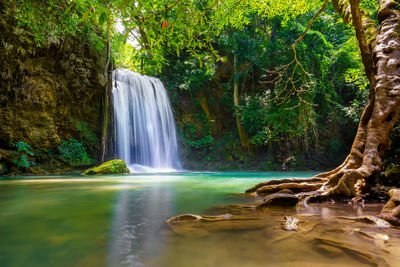 Scenic view of waterfall in forest