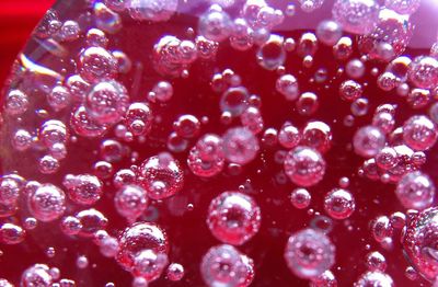 Close-up of bubbles