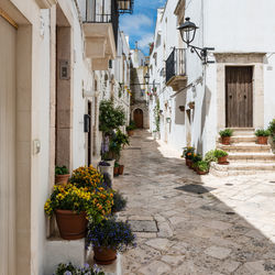Streets of locorotondo. between white houses and dreamlike architecture. puglia to love, italy