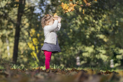 Cute baby girl playing with falling leaves in autumn park on a sunny day