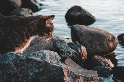 View of a rock in sea