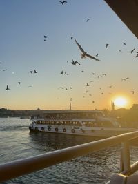 Seagulls flying over sea against sky during sunset